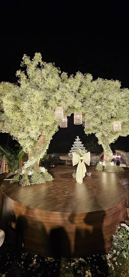 Stage and Backdrop — Reception decor — Casa Waters